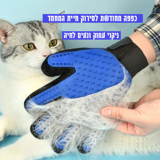 כפפה לסירוק פרווה - מתאים לכלבים וחתולים